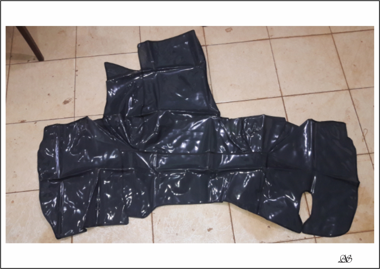 295 - TAPETE VERNIZ IVECO TECTOR CZ