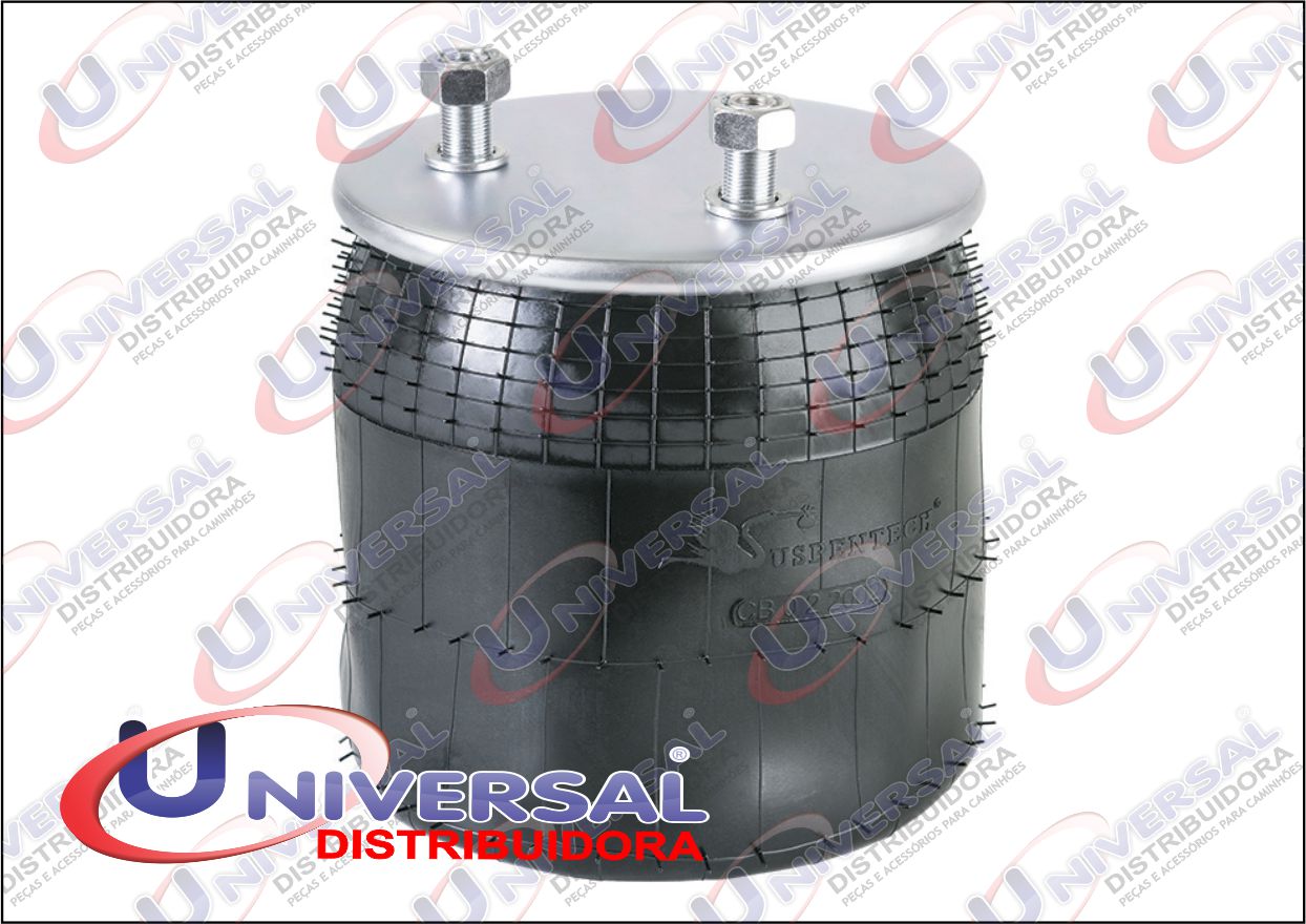 ST-144K - BOLSA EIXO CARRETA RANDON 2006 FACCHINI VANDERLEIA 2007