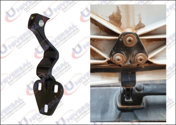 F-10051 - DOB CAPO 2423K